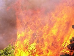 Πολύ υψηλός κίνδυνος πυρκαγιάς τη Δευτέρα 20 Ιουλίου